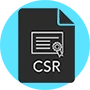 Imagen de Generador CSR
